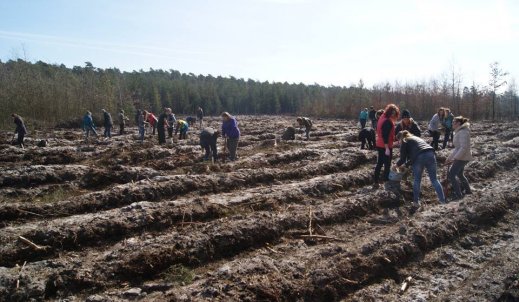 Sadzenie lasu przez uczniów ZS1 w Wieluniu